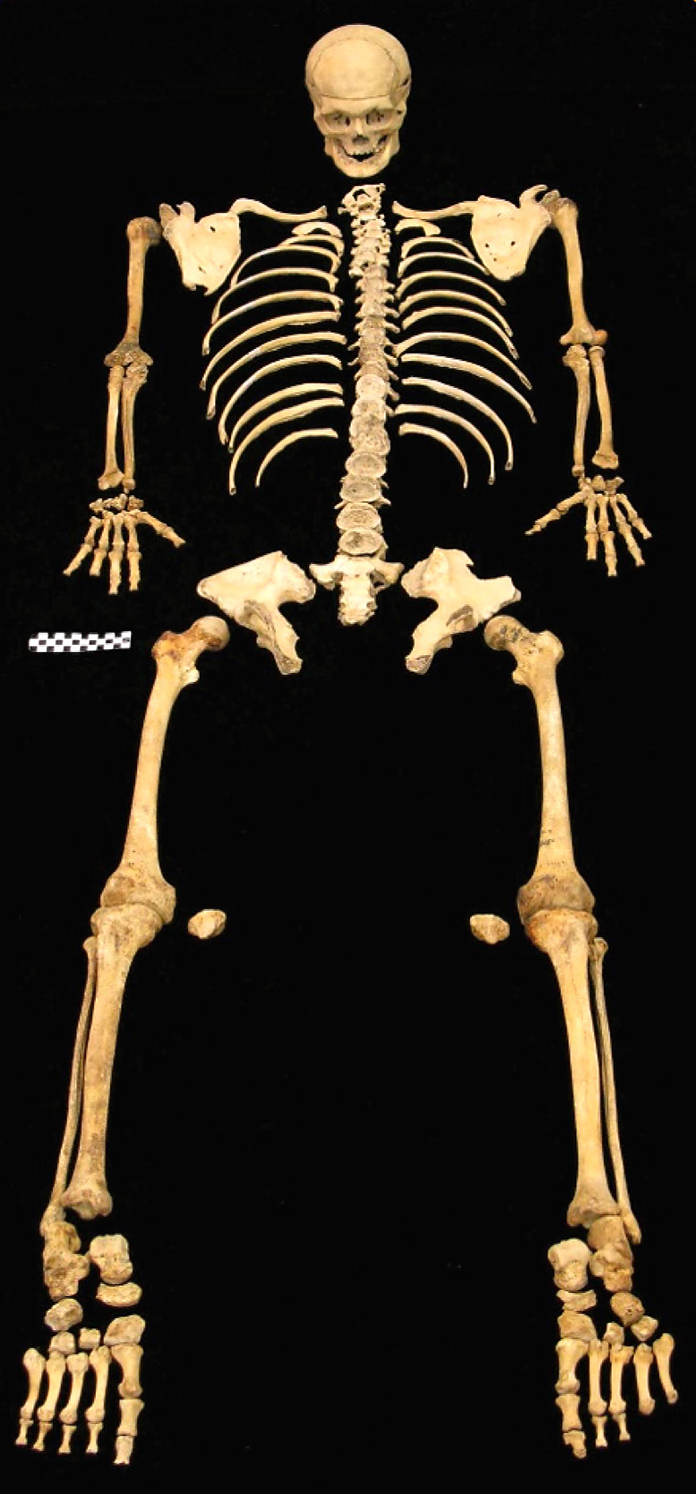 mysterious-skeletons-of-oregon-if-only-these-bones-could-talk