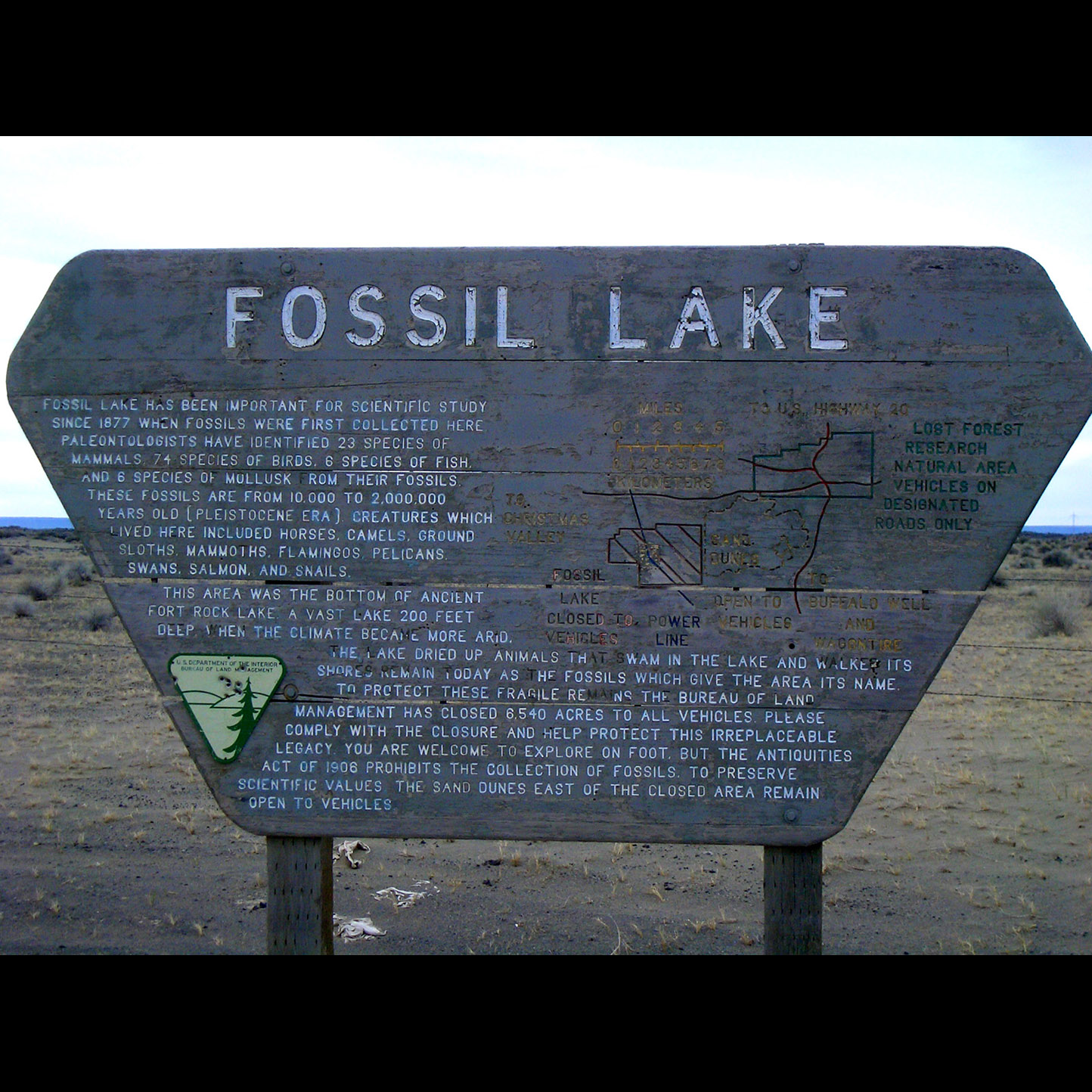 Fossil Lake: Oregon’s answer to the LaBrea Tar Pits