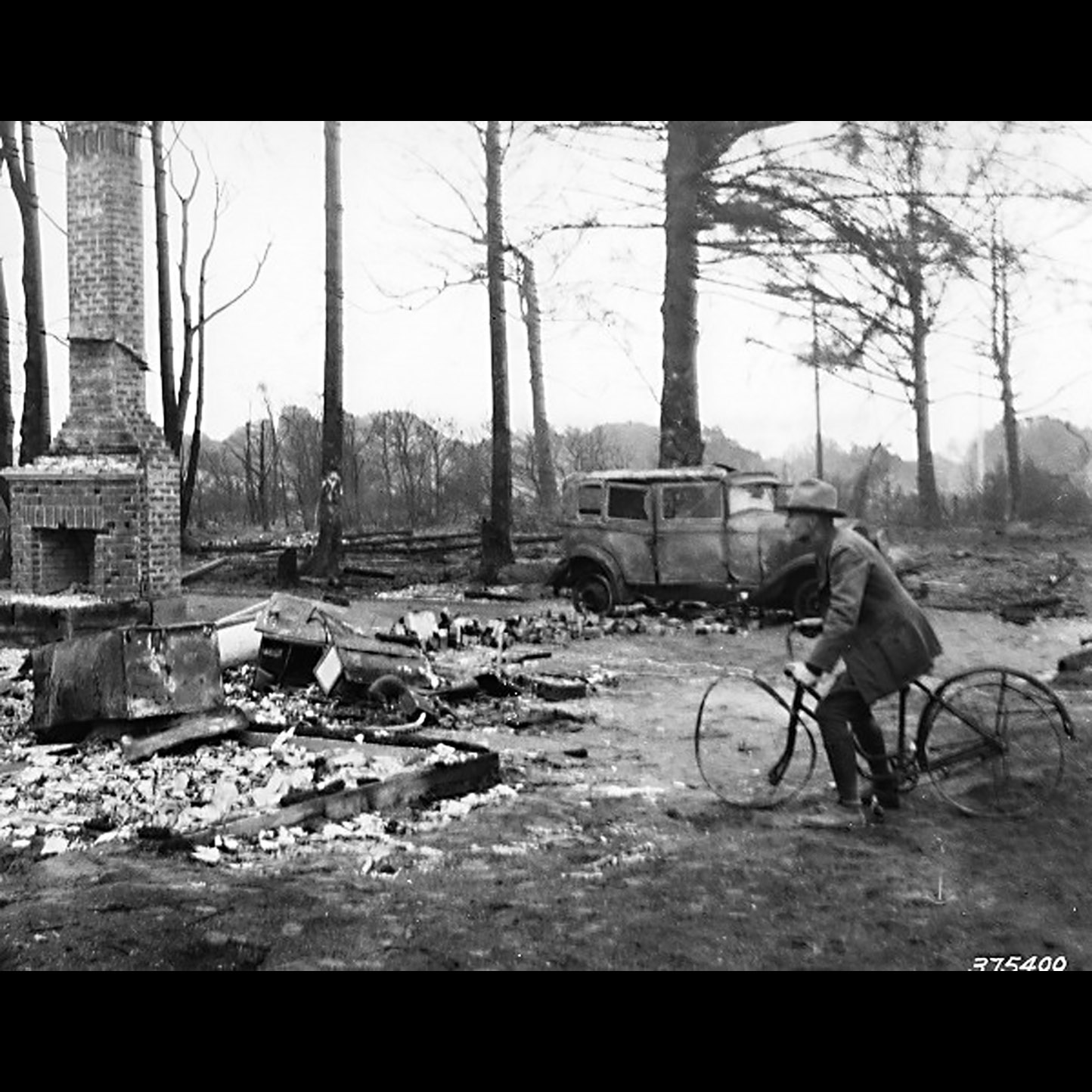 Town destroyed by its founder’s favorite garden shrub