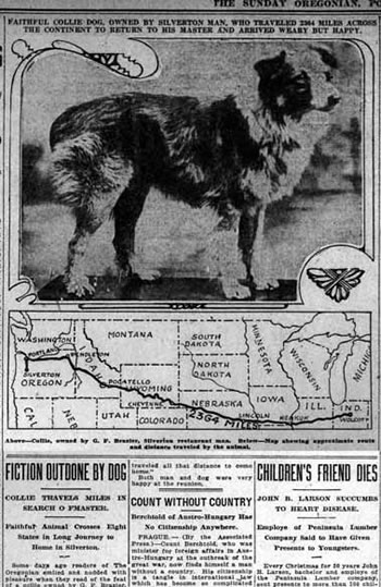 The Oregonian newspaper coverage of Bobbie the Wonder Dog.