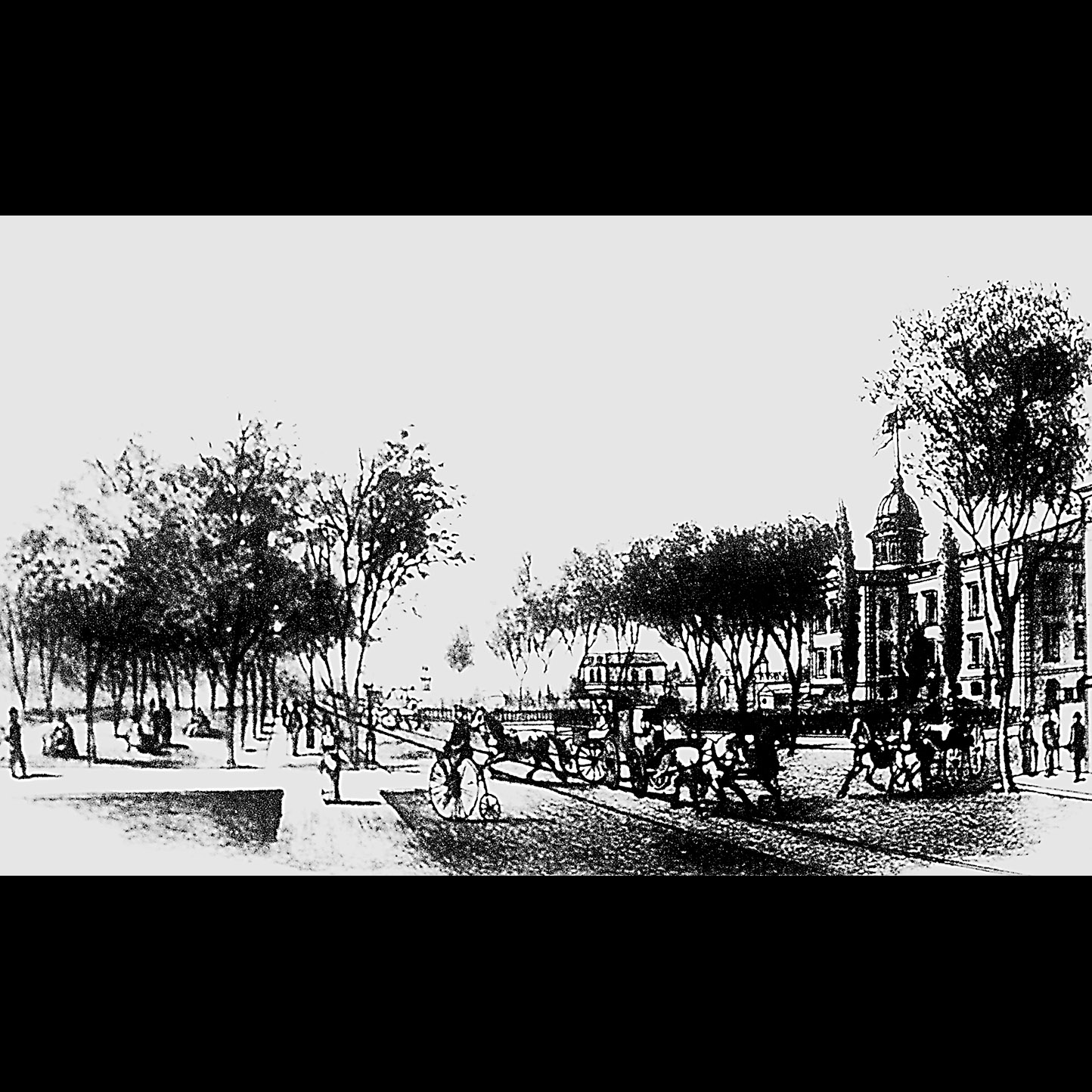 Pioneering “lady lawyer” deserved a better legacy