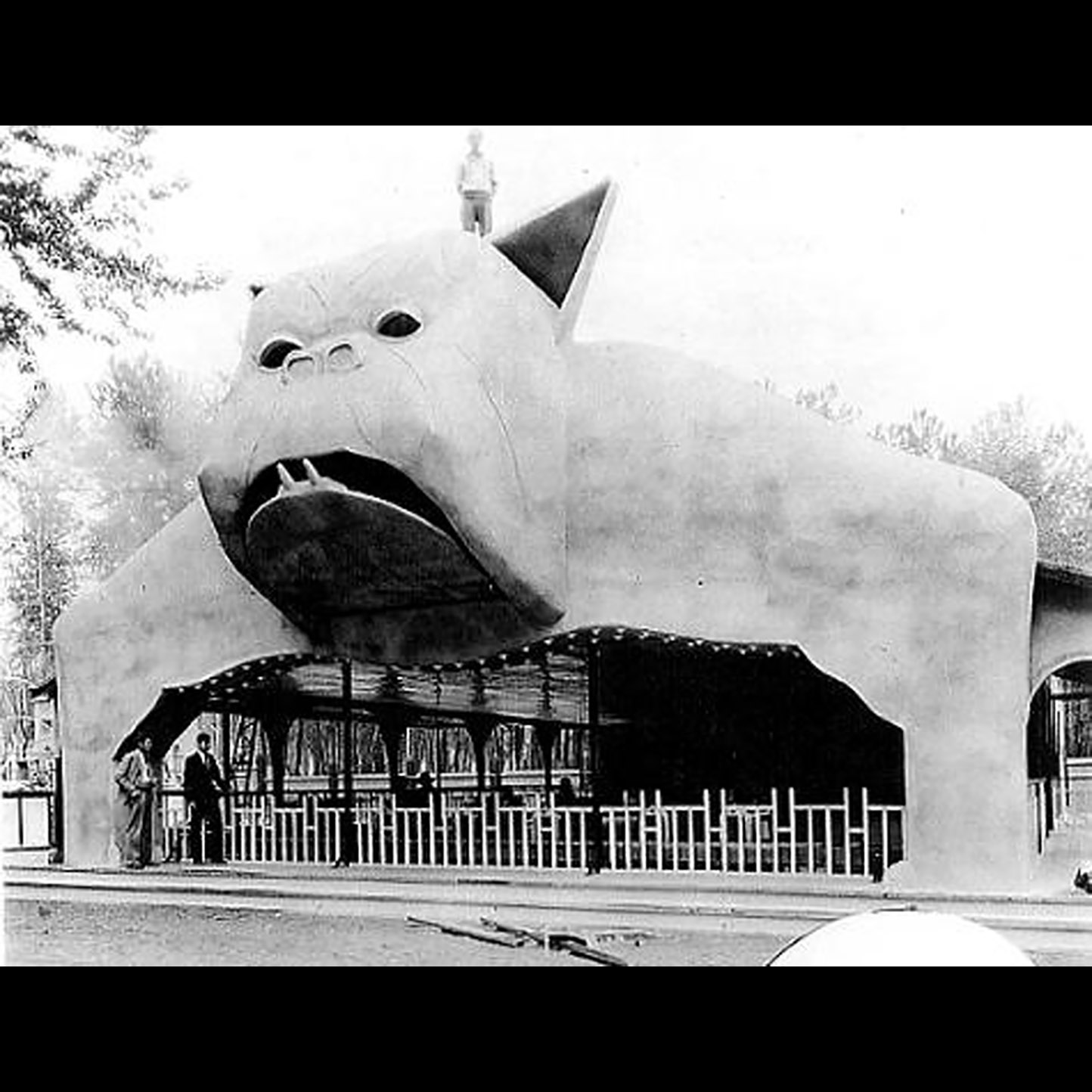 Lotus Isle, Oregon’s most surreal amusement park episode artwork