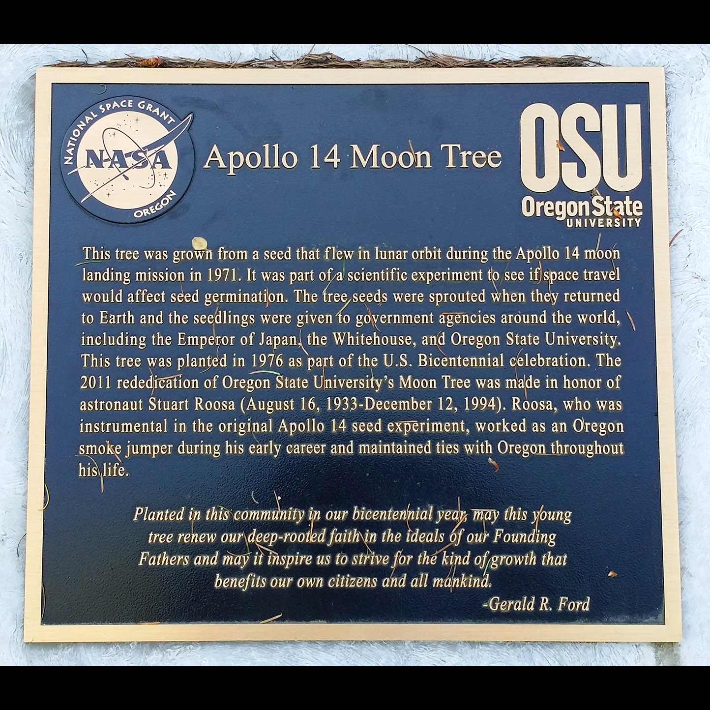 NASA’s ‘Moon Trees’ have roots in Oregon forest fire episode artwork